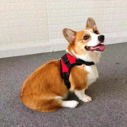 Adjustable Dog Harness