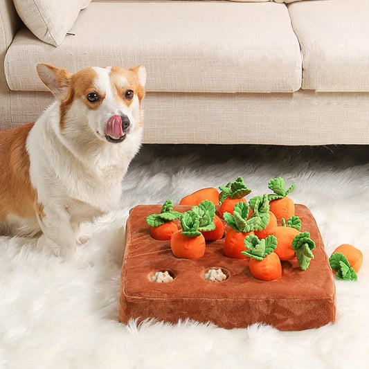 Carrot Farm Interactive Plush Dog Toy